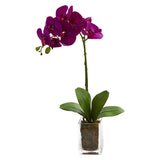 24” Orchid Phalaenopsis Artificial Arrangement In Vase