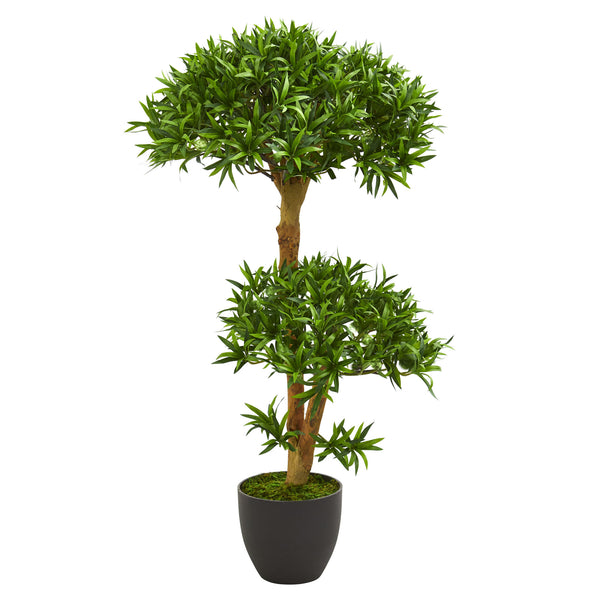 3’ Bonsai Styled Podocarpus Artificial Tree