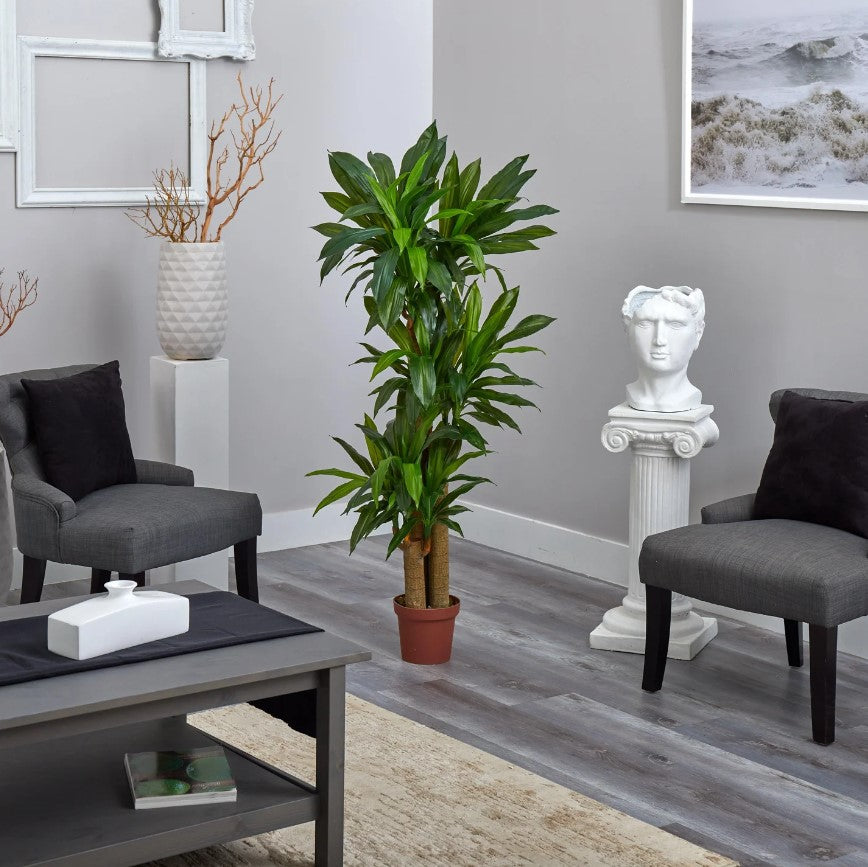 Corn Stalk Dracaena Silk Plant (Real Touch) Primrue