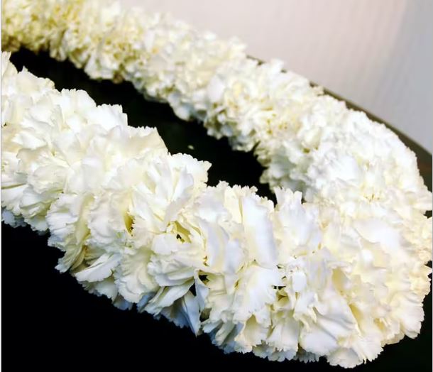 Double Pink Carnations Lei LeLe Floral