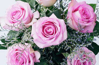 6 Pink Roses Flower Baskets