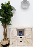 6’ Fiddle Leaf Fig Tree