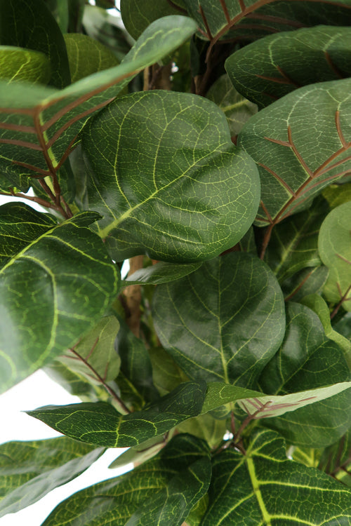 6' faux fiddle leaf fig tree 6' Artificial Fiddle Leaf Fig Tree – LeLe Floral