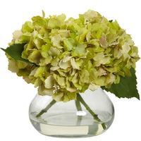 Blooming Hydrangea W/Vase