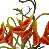 Heliconia In Glass Vase