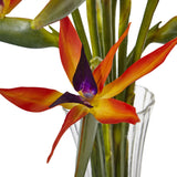 Large Birds Of Paradise In Vase