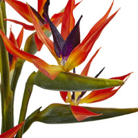 Large Birds Of Paradise In Vase