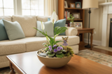 Peace Lilies & Mini Purple African Violet Fairy Garden - Best air purifying indoor houseplants