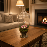 23.5” African Violet Glass Dome Arrangement (Color and variety may vary)