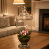 23.5” African Violet Glass Dome Arrangement (Color and variety may vary)