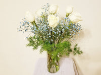 Dozen White Roses & Blue Baby’s Breath Arrangement