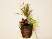 Business (Plant Rotational) Subscriptions