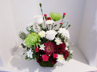 Christmas Seasonal Arrangement in Preserved Moss Basket