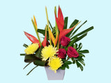 Tropical Designer Choice Arrangement