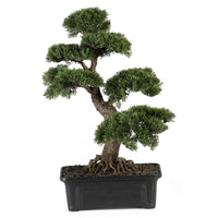 Cedar Bonsai 24" Silk Plant"