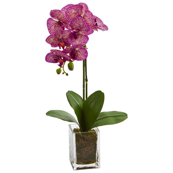 24” Orchid Phalaenopsis Artificial Arrangement In Vase