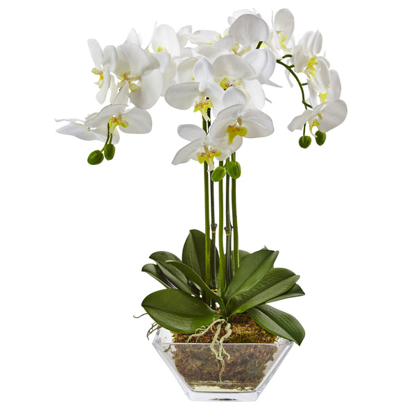 Unique in design and contemporary in style, this faux Phalaenopsis Orchid features three cascading stems. Delicate and white, blossoming petals extend atop a clear, glass vase for the perfect tabletop centerpiece.