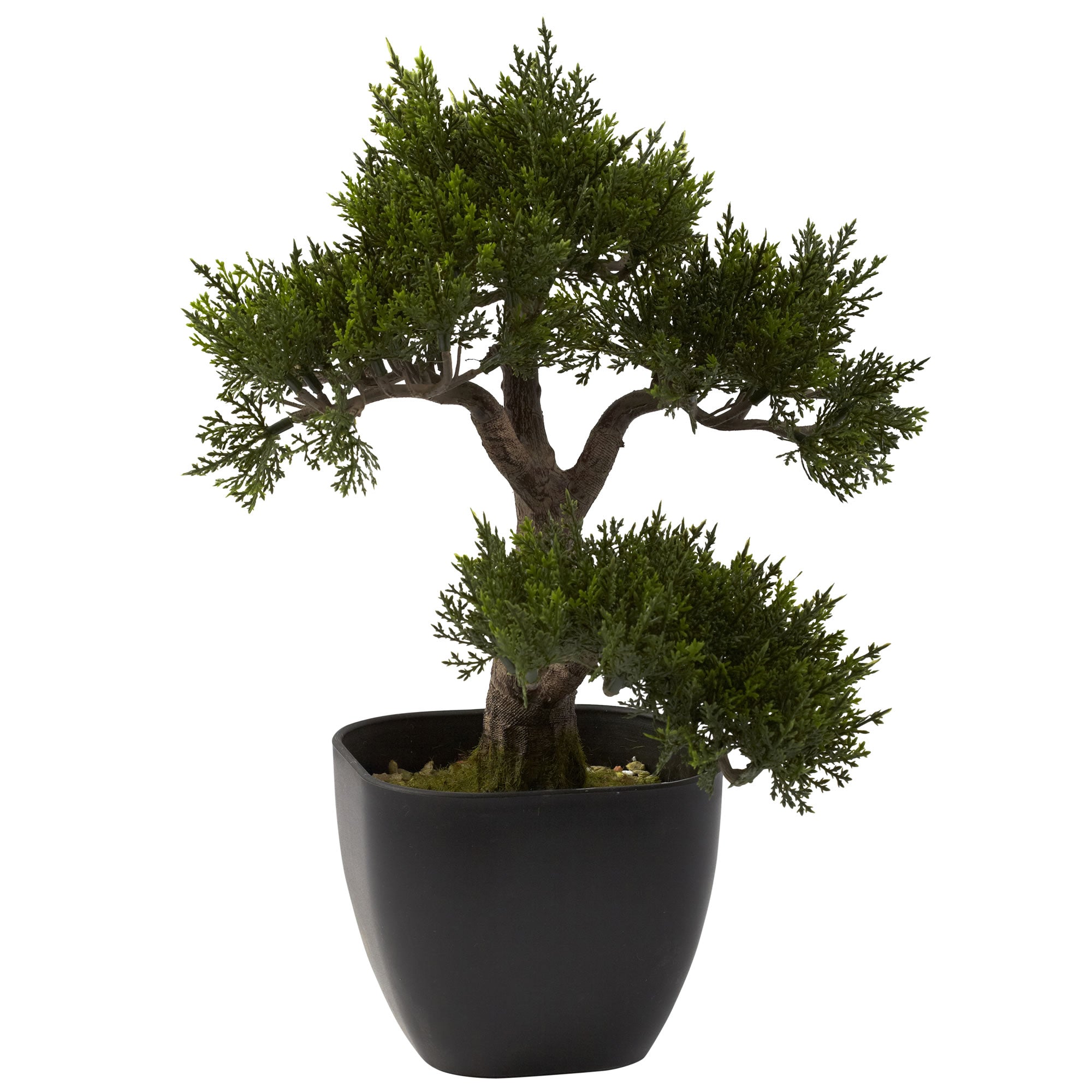 Silk Bonsai  LeLe Floral