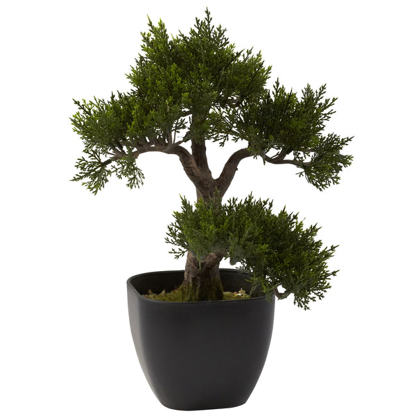 fake bonsai tree small Nearly Natural 15-in Cedar Bonsai