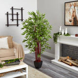 6’ Bamboo Silk Tree W/Planter