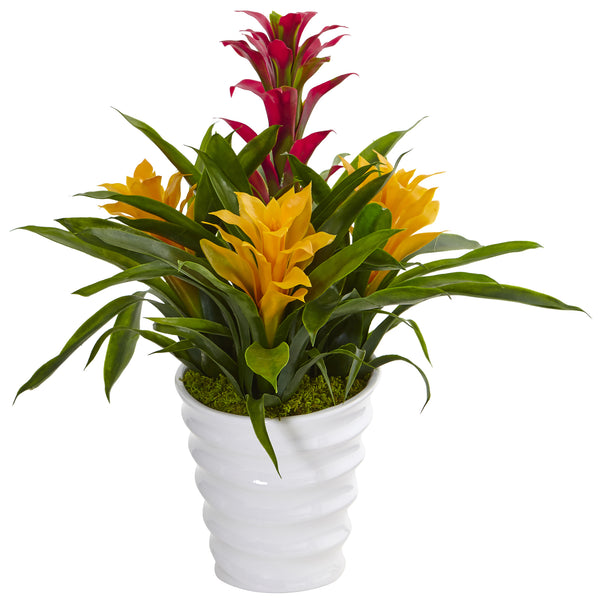 Bromeliad In White Swirl Vase