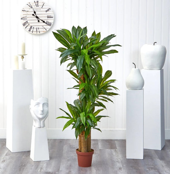 corn stalk dracaena silk plant Corn Stalk Dranaena Silk Plant (Real Touch) – LeLe Floral
