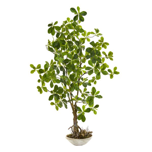 schefflera arboricola bonsai for sale Nearly Natural 4 ft. Schefflera Bonsai Artificial Plant in Planter