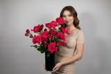 Amour - French Style