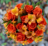 Dozen Orange Roses & Orange Alstroemeria Arrangement