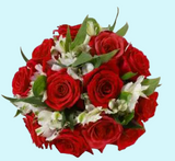 Dozen Red Roses & Alstroemeria Arrangement