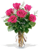 Haft Dozen Hot Pink Roses Arrangement in Clear Vase