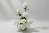 white flowers in a clear vase on a light gray background