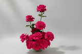 Bouquet of bright pink flowers in a clear vase on a light gray background