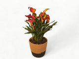Orange Calla Lily in Natural Woven Basket