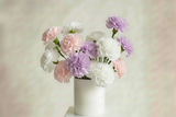 Pastel-colored Carnation flowers in a white vase on a light background