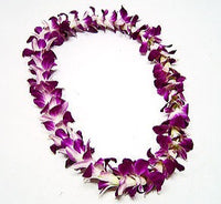 SINGEL BOMBAY ORCHID LEI