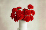 Red Perfection" Long-Lasting Valentine’s Arrangement