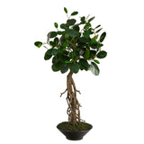 2’ Ficus Bonsai Artificial Tree In Decorative Planter