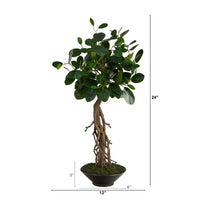 2’ Ficus Bonsai Artificial Tree In Decorative Planter