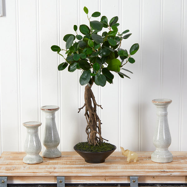 2’ Ficus Bonsai Artificial Tree In Decorative Planter