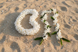 Two floral leis on a plain white background: one made of white flowers alone, and one made of white flowers with dark green leaves attached.
