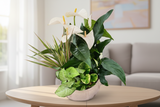 Anthurium and Tropical Plants Arrangement (Designer's Choice)