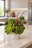 Succulents Designer’s Choice Arrangement - Perfect for Him