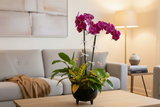 Designer's Choice Dish Garden