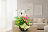 Orchid and Tropical Plants Arrangement (Designer's Choice)