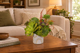 Succulents Designer’s Choice Arrangement - Perfect for Him
