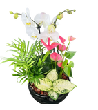 Orchid and Tropical Plants Arrangement (Designer's Choice)