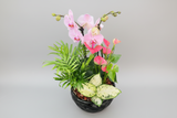 Orchid and Tropical Plants Arrangement (Designer's Choice)