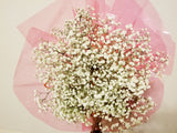 White Baby’s Breath Bouquet