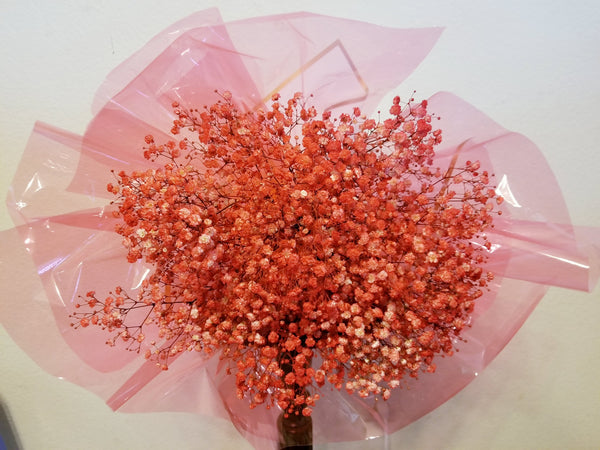 Fresh Red Baby’s Breath Bouquet